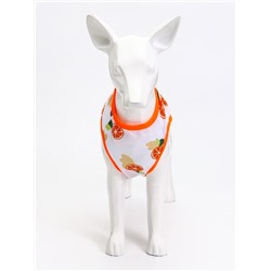 Футболка для животных «Апельсинка», размер L, ДС 34, ОГ 46 см