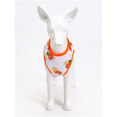 Футболка для животных «Апельсинка», размер M, ДС 30, ОГ 42 см