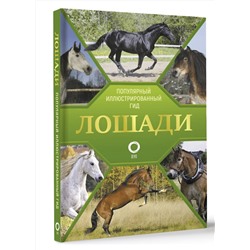 АСТ Анна Спектор "Лошади. Иллюстрированный гид"