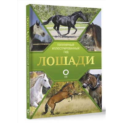 АСТ Анна Спектор "Лошади. Иллюстрированный гид"