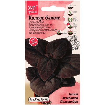 Семена цветов Колеус блюме "Гиант Экзебишен Палисандра", 10 шт