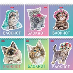 Блокнот на спирали А6 40л клетка "Котики бывают разными" (080474) Хатбер