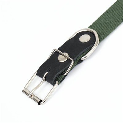 Ошейник брезентовый однослойный, 66×3 см, ОШ 33-60 см, тёмно-зелёный