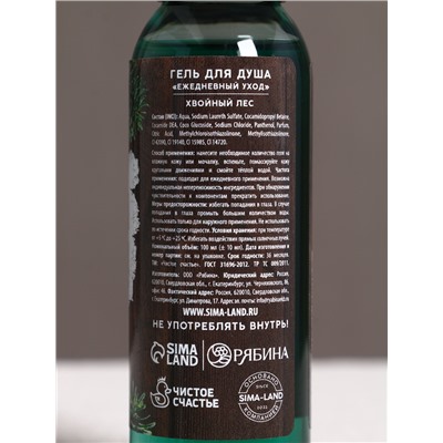 Подарочный набор новогодний мужской «С праздником»: гель для душа и шампунь для волос, 2×100 мл, Чистое счастье