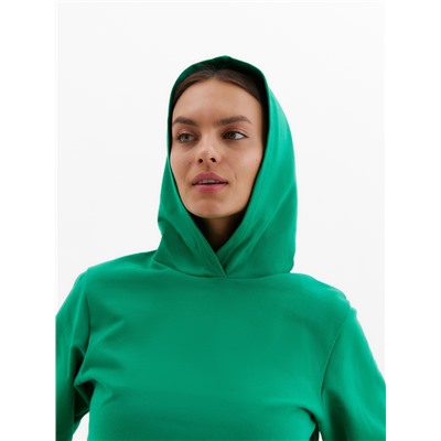 Костюм с начёсом женский (толстовка, брюки) Tusi, размер 44, зелёный