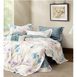 Текс-плюс КПБ Общий НФ-00244971