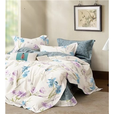 Текс-плюс КПБ Общий НФ-00244971