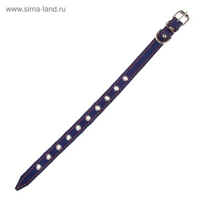 Ошейник кожаный однослойный безразмерный, 45×2 см, ОШ 18-39 см, синий