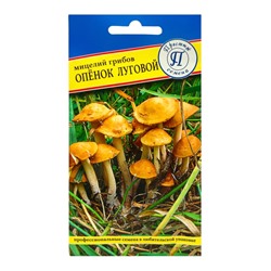 Семена Мицелий Опенок "Луговой", 12 пал
