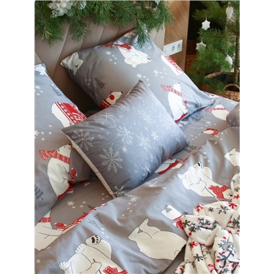 Постельное бельё 2-спальное «Этель. Зимние игры», поплин