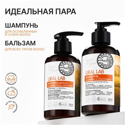 Шампунь для сухих и ослабленных волос с маслом кедра и экстрактом календулы, здоровые и блестящие, 300 мл, ECO LAB by URAL LAB