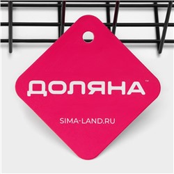 Корзина на липучках Доляна, 29×12×11.5 см, цвет чёрный