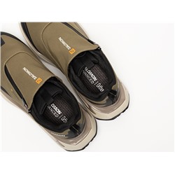 Кроссовки Salomon Odyssey ELMT Advanced