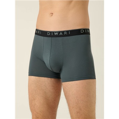Шорты DIWARI PREMIUM MSH 1568 Трусы мужские