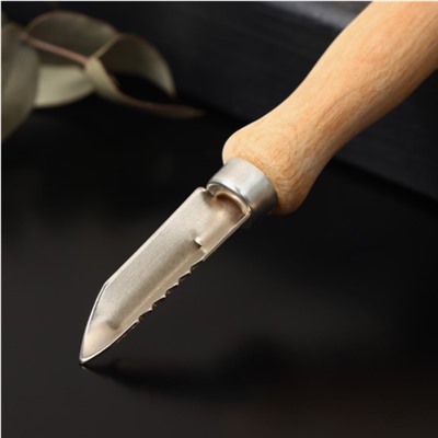 Овощечистка "Традиционная", 14,5 × 2 см, с деревянной ручкой