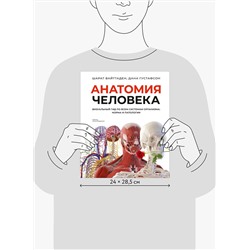 Эксмо Шарат Вайттаден, Дана Густафсон "Анатомия человека. Визуальный гид по всем системам организма: норма и патологии"