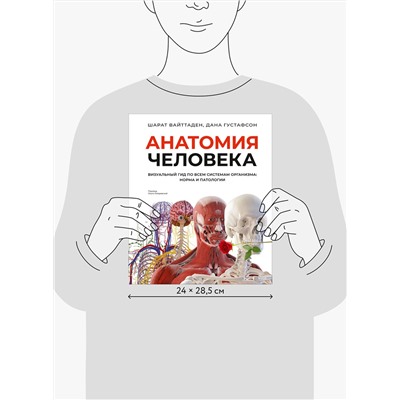 Эксмо Шарат Вайттаден, Дана Густафсон "Анатомия человека. Визуальный гид по всем системам организма: норма и патологии"