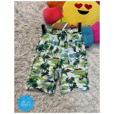 Шорты #22434776