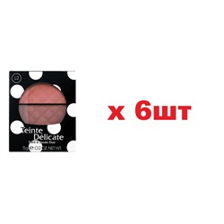 VS Румяна двойные Teinte Delicate 5г тон 12 6шт