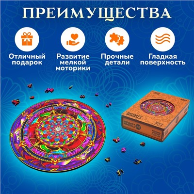 Пазл фигурный Infiniti Mandala, размер 22×22 см, 166 деталей