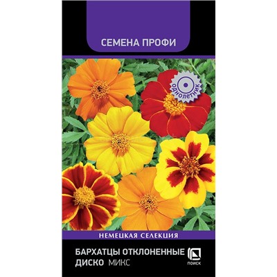Бархатцы Диско Микс отклоненные (П)