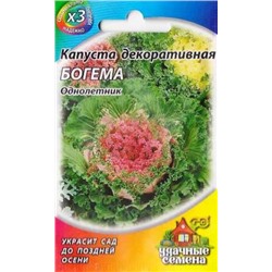 Капуста декор.Богема ХИТ (Код: 86429)