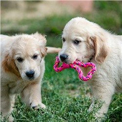 Игрушка витая из резины и каната «Мегакость», 19.5 см, розовая