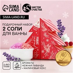 Подарочный набор новогодний «Яркой зимы»: соль для ванны, 2×150 г, Чистое счастье