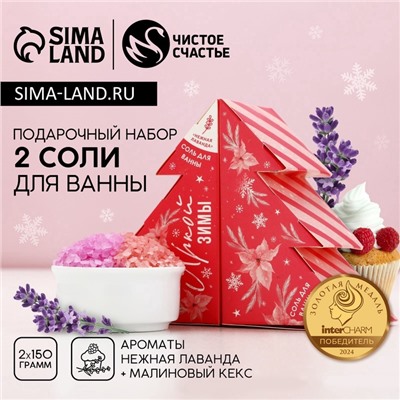 Подарочный набор новогодний «Яркой зимы»: соль для ванны, 2×150 г, Чистое счастье