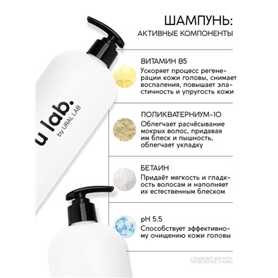 Набор ухода за волосами: шампунь для волос 1000 мл, спрей для волос, URAL LAB