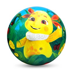 Мяч пвх 23 см "Лунтик" полноцвет, в сетке