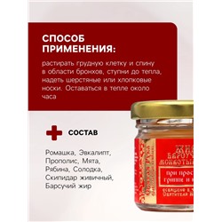 Барсучий жир «Святая Рука» при простуде, гриппе и кашле, 30 мл