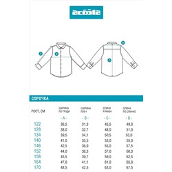 Блуза ACOOLA, 1127774