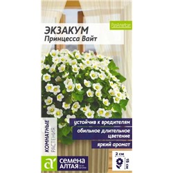 Экзакум Принцесса Вайт комнатная