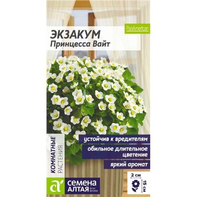Экзакум Принцесса Вайт комнатная