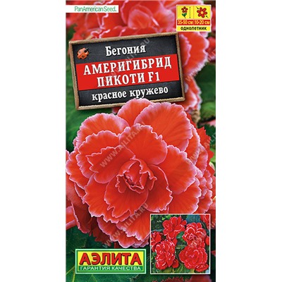 1323A Бегония Америгибрид Пикоти F1 красное кружево 5 шт