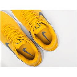 Кроссовки Nike Hyperdunk 2017 Low