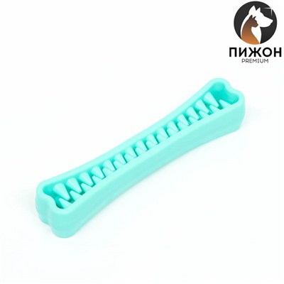 Игрушка-зубочистка для собак Пижон Premium «Зубастик», 18.3×3.8 см, цвет мятный