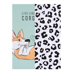 Лонгсливы, 2 шт. АПРЕЛЬ, 1188428