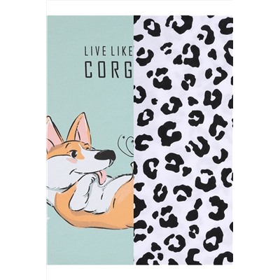 Лонгсливы, 2 шт. АПРЕЛЬ, 1188428