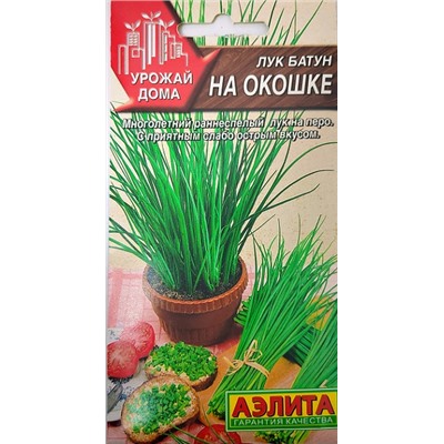Лук Батун На окошке (Код: 93297)