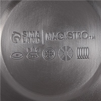 Чайник Magistro Stone, 2.7 л, со свистком, ручка soft-touch, индукция, нержавеющая сталь, серый