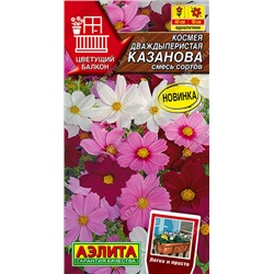 Космея Казанова Аэлита