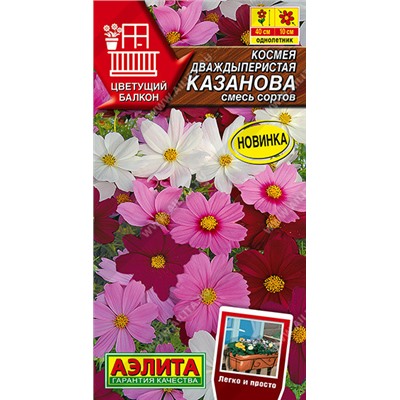 Космея Казанова Аэлита