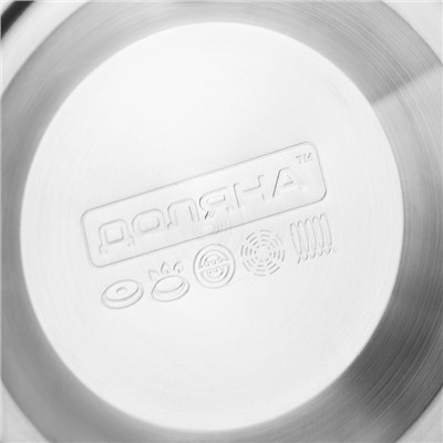 Чайник со свистком Доляна «Чёрная ночь», 3 л, нержавеющая сталь, фиксированная ручка, хромированный