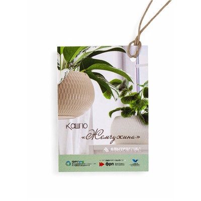 Кашпо для цветов «Жемчужина», 4 л, d=29 см, h=19.5 см, пластик, со вставкой, подвесное, бежевое