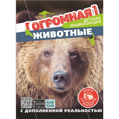 АСТ Куцаева Н.Г. "Животные в натуральную величину"