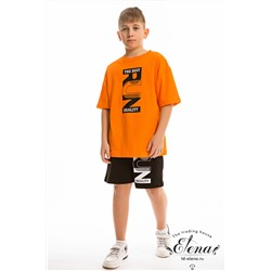 Костюм (футболка+шорты) М223025Па