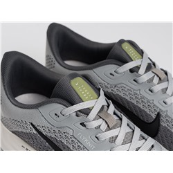 Кроссовки Nike Pegasus Plus