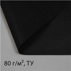 Полоса защитная для междурядий, 20×0.3 м, плотность 80 г/м², спанбонд с УФ-стабилизатором, чёрная, Greengo, Эконом 30%